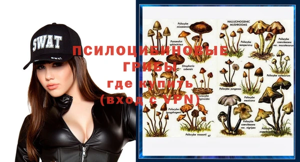 дмт Алексин